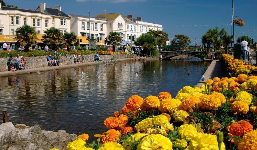 Dawlish Lawn View Apartment Екстериор снимка